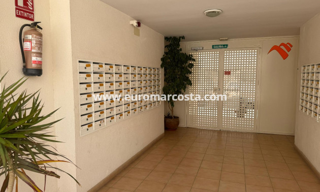 Venta - Apartamento / piso - Almoradi - Almoradí