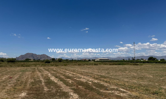 Venta - Apartamento / piso - Almoradi - Almoradí