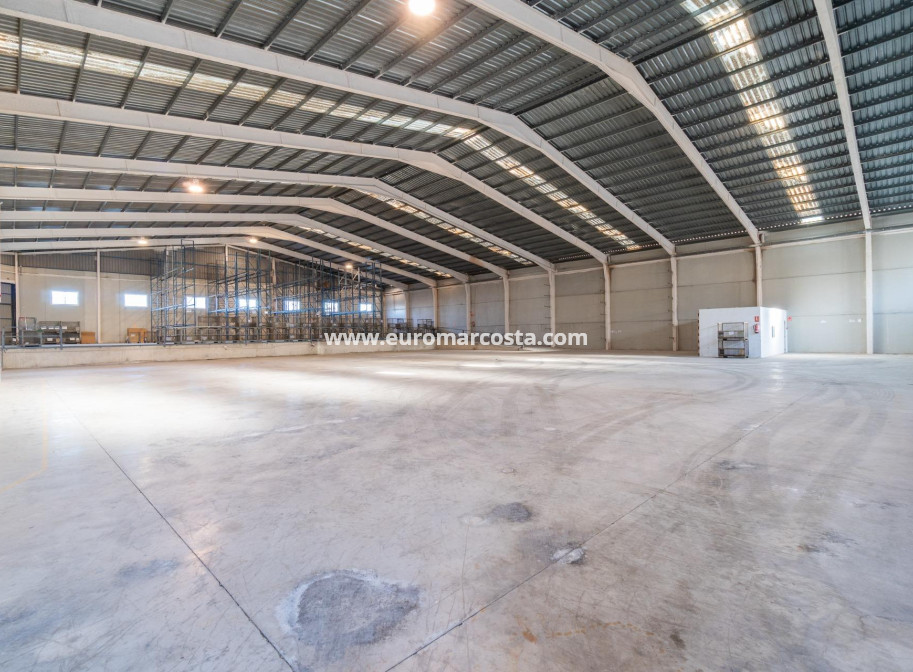 Long time Rental - Industrial unit - Pilar de la Horadada
