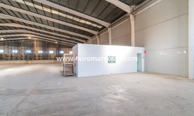 Long time Rental - Industrial unit - Pilar de la Horadada