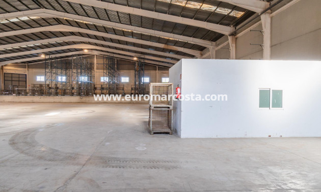 Long time Rental - Industrial unit - Pilar de la Horadada