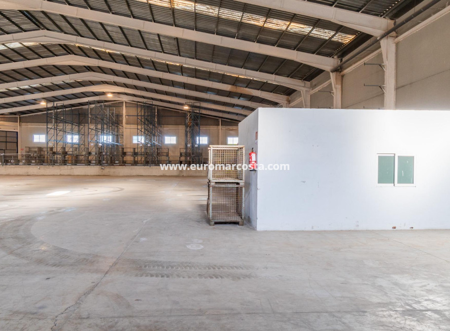 Long time Rental - Industrial unit - Pilar de la Horadada