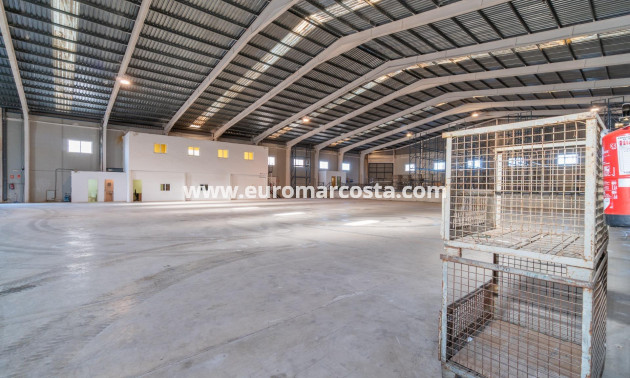 Long time Rental - Industrial unit - Pilar de la Horadada