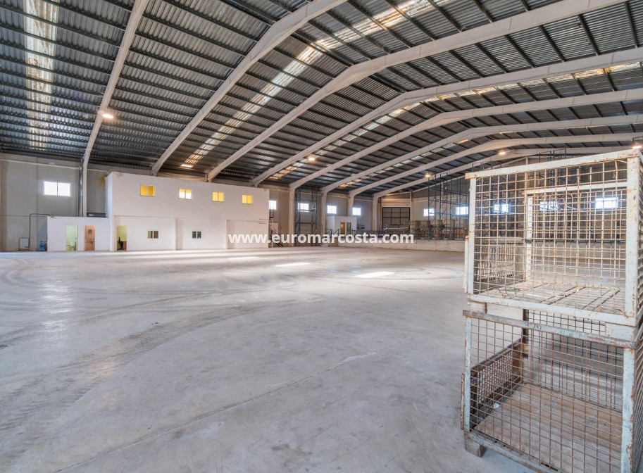 Long time Rental - Industrial unit - Pilar de la Horadada