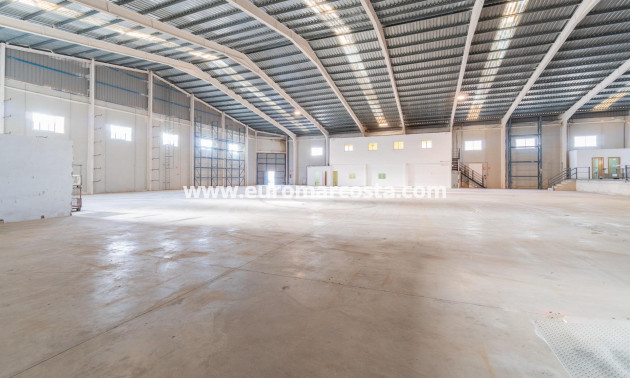 Long time Rental - Industrial unit - Pilar de la Horadada