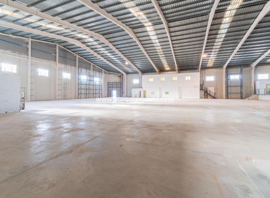 Long time Rental - Industrial unit - Pilar de la Horadada