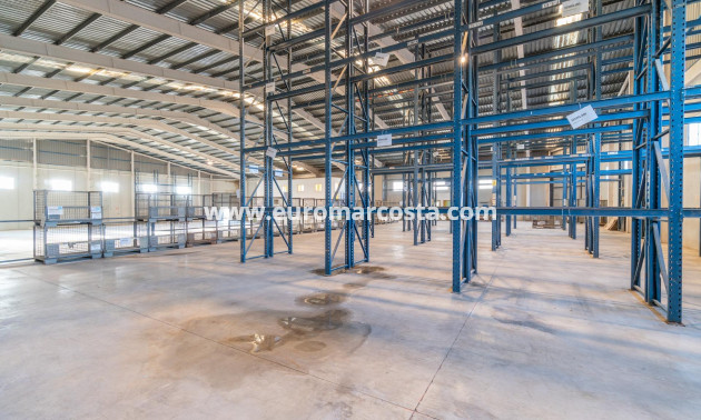 Long time Rental - Industrial unit - Pilar de la Horadada