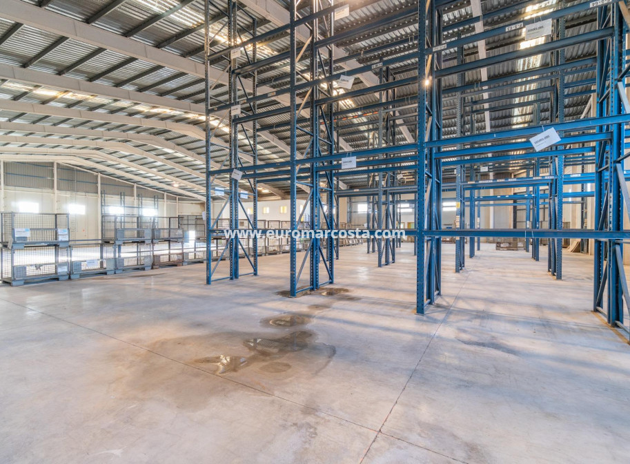 Long time Rental - Industrial unit - Pilar de la Horadada