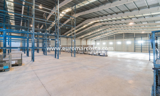 Long time Rental - Industrial unit - Pilar de la Horadada