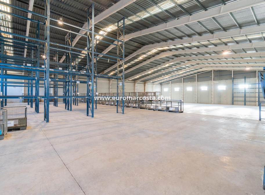 Long time Rental - Industrial unit - Pilar de la Horadada