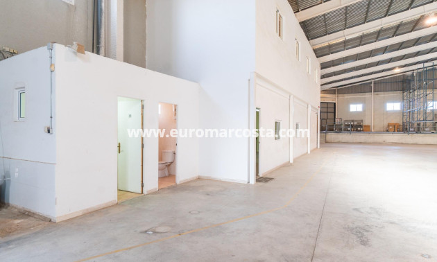 Long time Rental - Industrial unit - Pilar de la Horadada