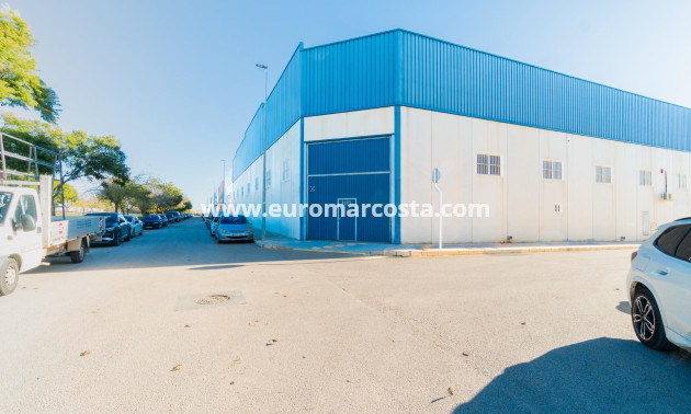 Long time Rental - Industrial unit - Pilar de la Horadada