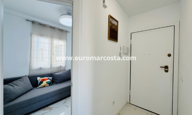 Venta - Apartamento / piso - La Mata