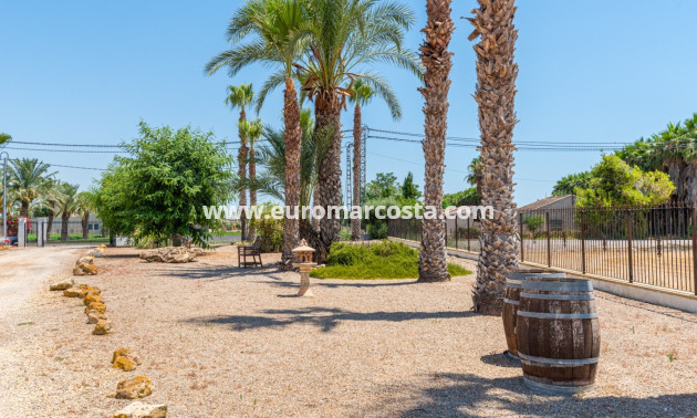 Sale - Country house - Catral