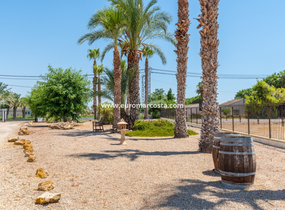 Sale - Country house - Catral