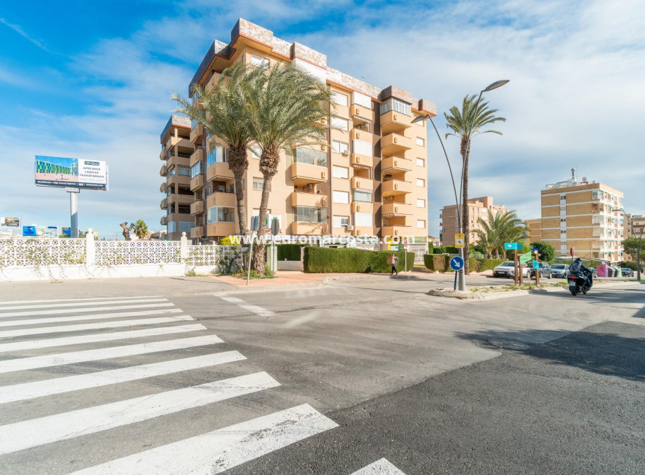 Long time Rental - Commercial - Orihuela Costa