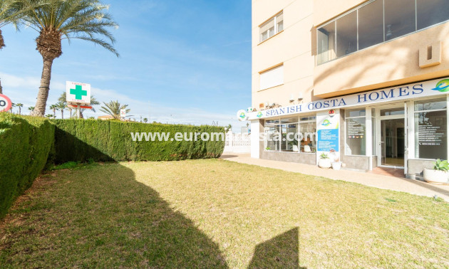Long time Rental - Commercial - Orihuela Costa