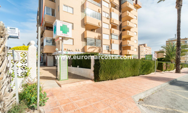 Long time Rental - Commercial - Orihuela Costa