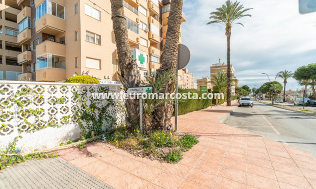 Long time Rental - Commercial - Orihuela Costa