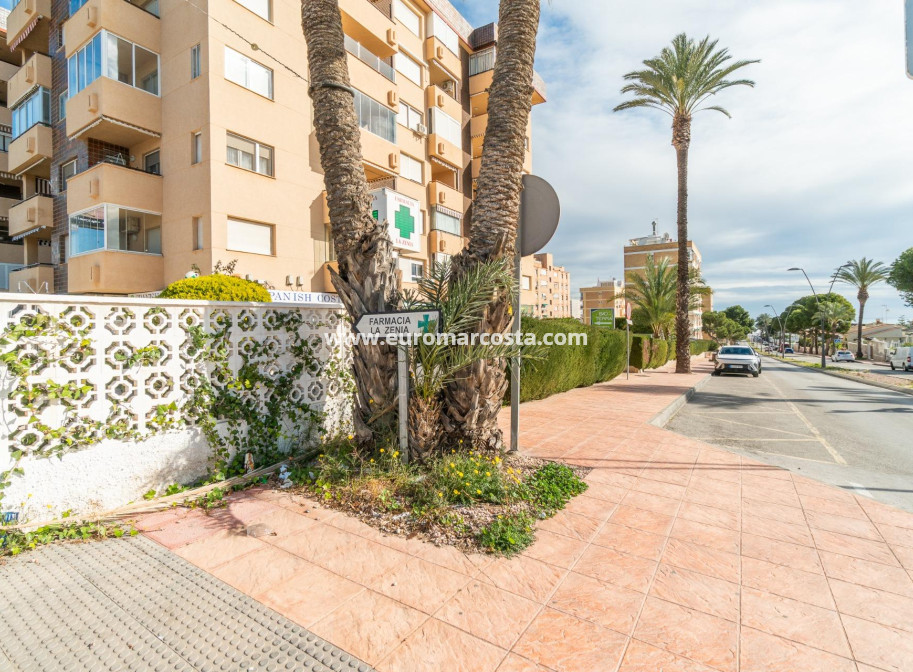 Long time Rental - Commercial - Orihuela Costa