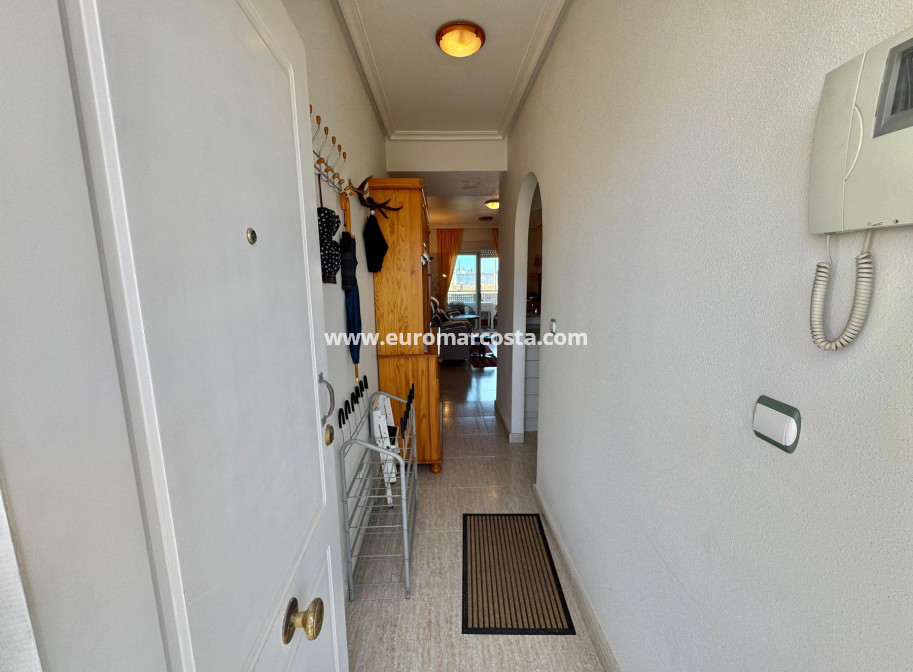 Venta - Apartamento / piso - Almoradi - Almoradí