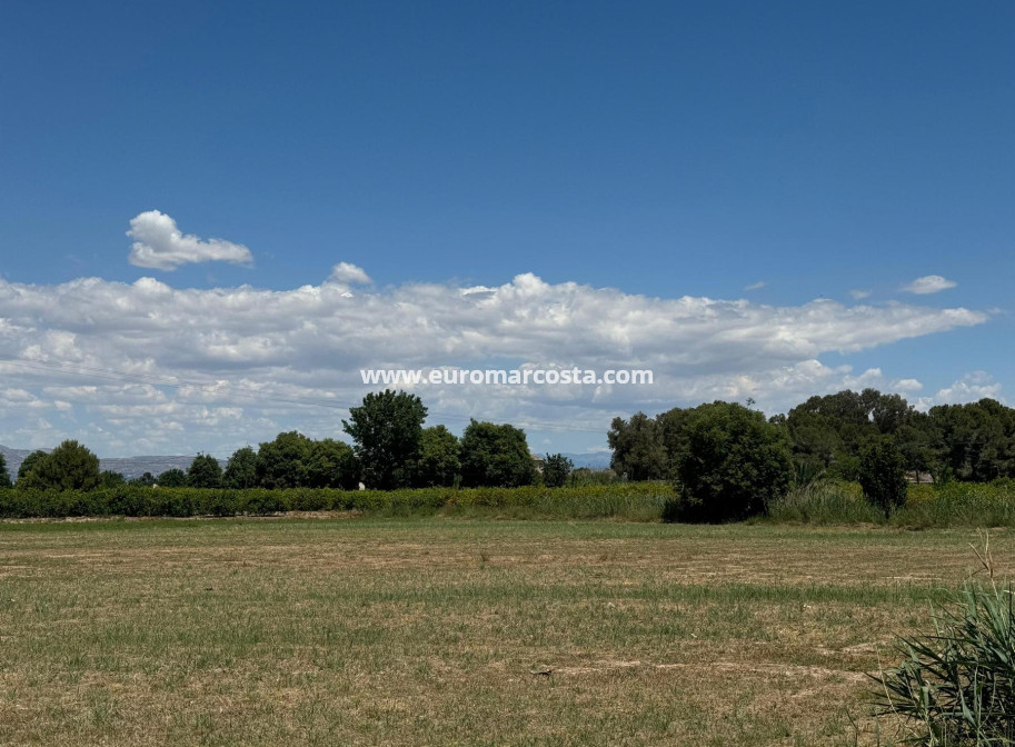 Venta - Apartamento / piso - Almoradi - Almoradí