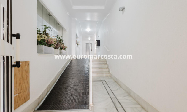 Venta - Apartamento / piso - Torrevieja - TORREVIEJA