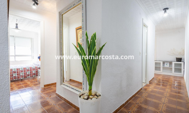 Objekte zum Wiederverkauf - Wohnung - Torrevieja - TORREVIEJA