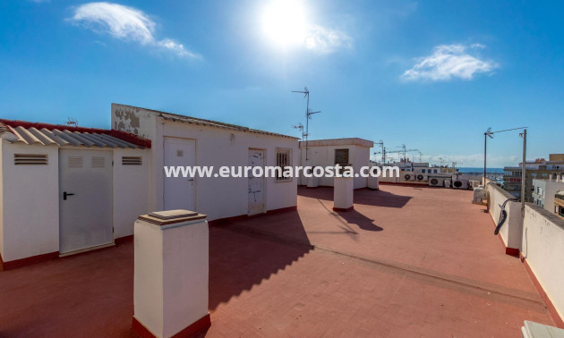 Sale - Apartment / flat - Torrevieja - TORREVIEJA