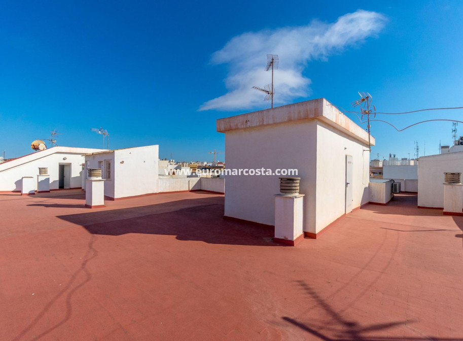 Sale - Apartment / flat - Torrevieja - TORREVIEJA