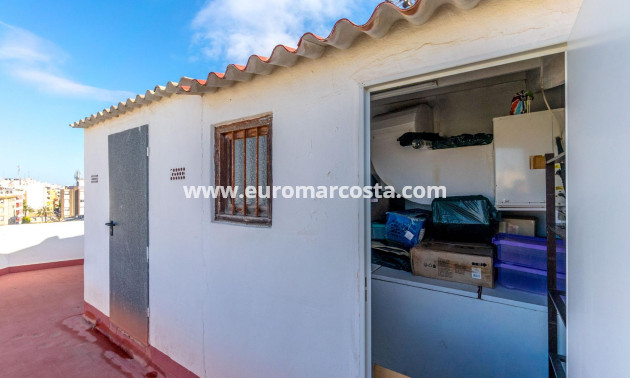 Sale - Apartment / flat - Torrevieja - TORREVIEJA