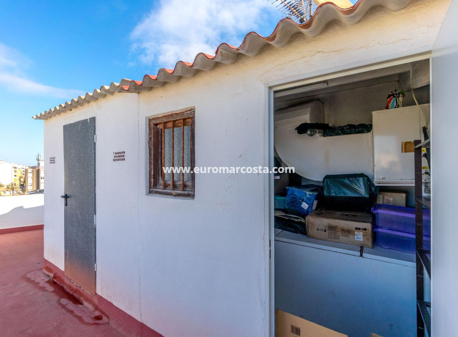 Sale - Apartment / flat - Torrevieja - TORREVIEJA