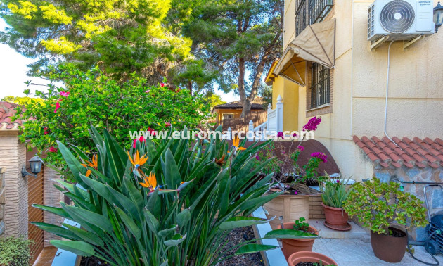 Venta - Villa - Torrevieja - TORREVIEJA