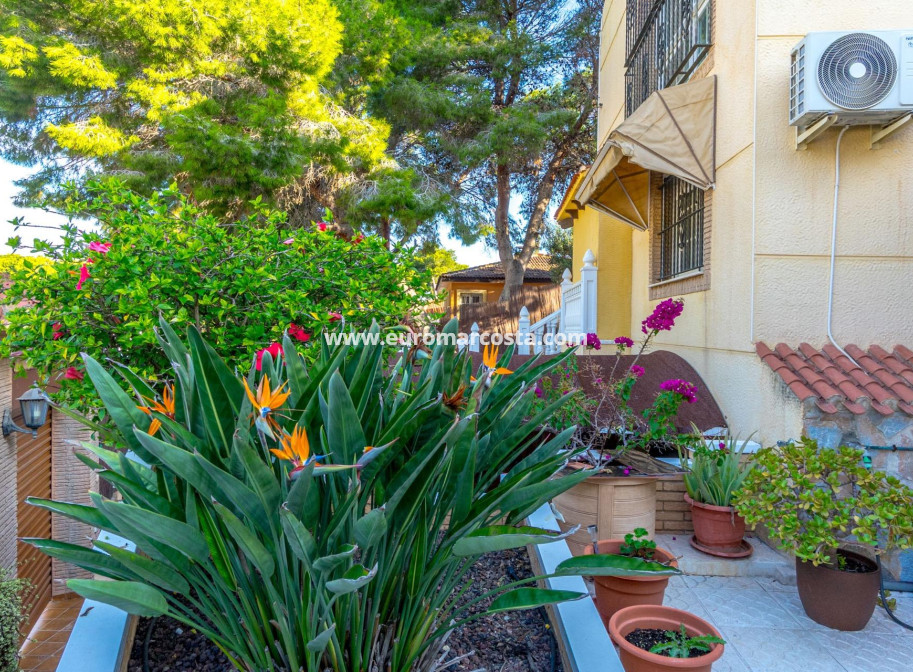 Venta - Villa - Torrevieja - TORREVIEJA