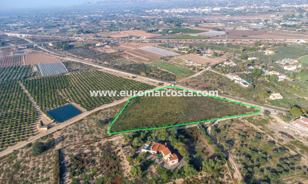 Objekte zum Wiederverkauf - Landhaus - Crevillente