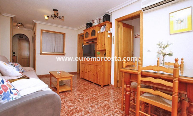 Venta - Apartamento / piso - Torrevieja - TORREVIEJA
