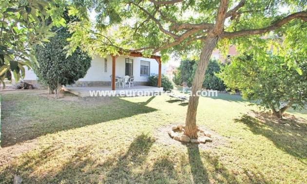 Sale - Chalet - Torrevieja - TORREVIEJA