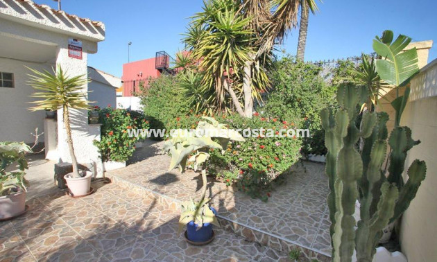 Sale - Chalet - Torrevieja - TORREVIEJA