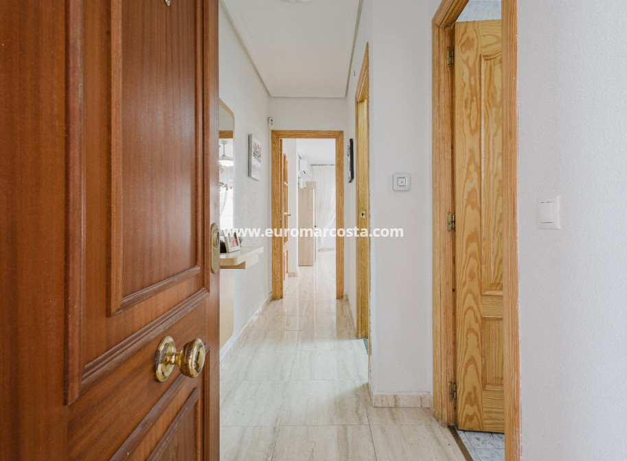 Sale - Apartment / flat - Torrevieja - TORREVIEJA