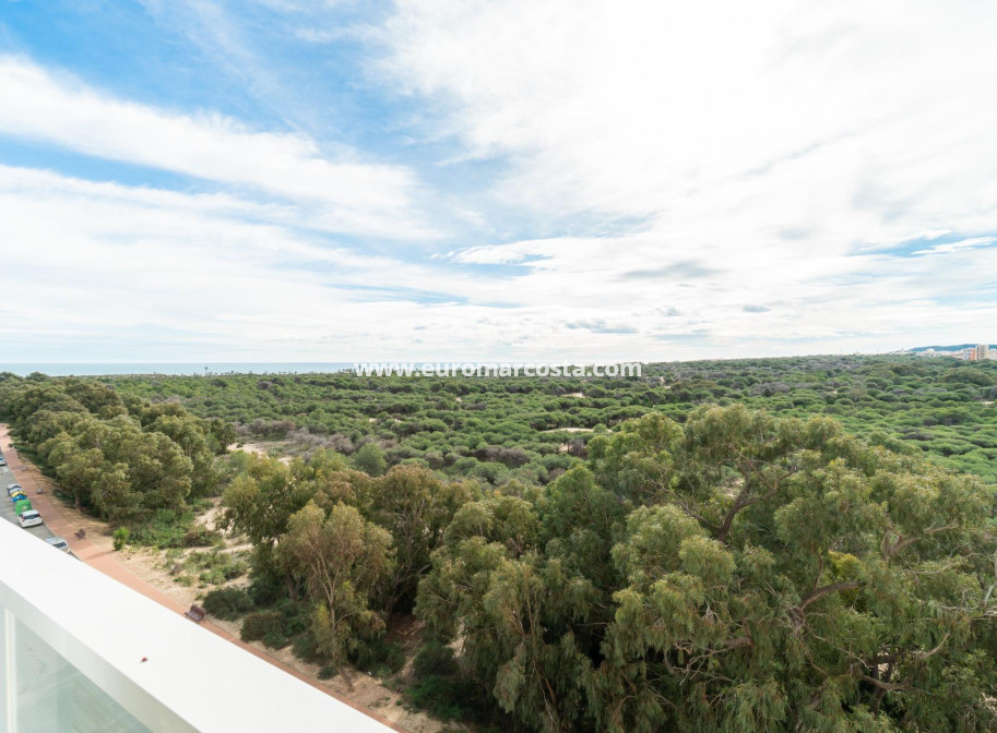 Sale - Apartment / flat - Guardamar del Segura - Puerto Deportivo