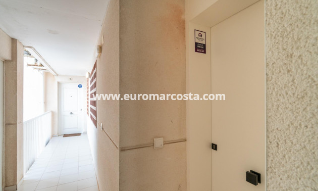 Sale - Apartment / flat - Guardamar del Segura - Puerto Deportivo