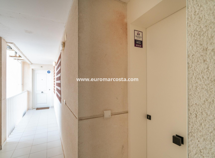 Sale - Apartment / flat - Guardamar del Segura - Puerto Deportivo