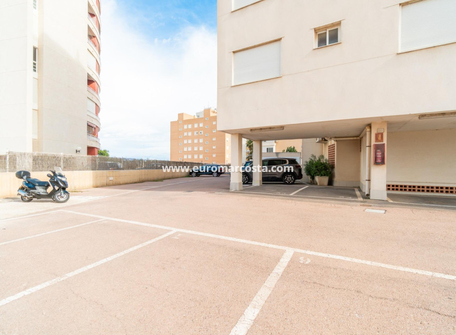 Sale - Apartment / flat - Guardamar del Segura - Puerto Deportivo