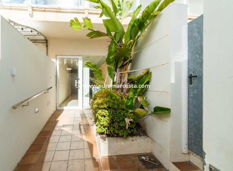 Sale - Apartment / flat - Guardamar del Segura - Puerto Deportivo