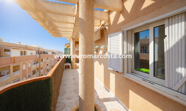 Objekte zum Wiederverkauf - Wohnung - Torrevieja - TORREVIEJA