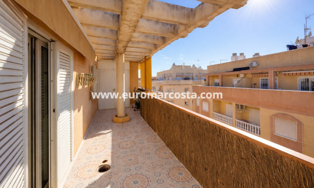 Objekte zum Wiederverkauf - Wohnung - Torrevieja - TORREVIEJA