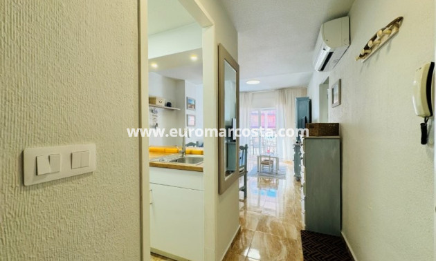 Venta - Apartamento / piso - La Mata