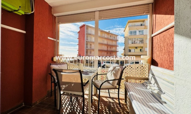 Venta - Apartamento / piso - La Mata