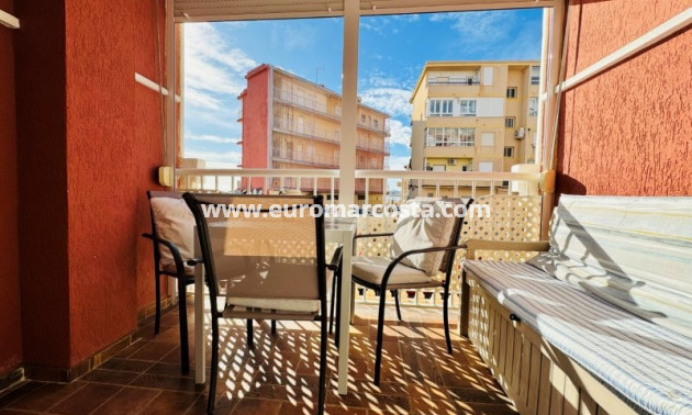 Venta - Apartamento / piso - La Mata