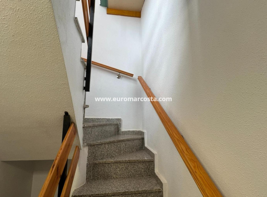 Venta - Bungalow - Torrevieja - TORREVIEJA